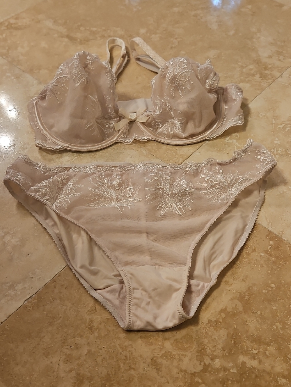 Felina Sheer Embroidered Lace Bra & Bikini Set in Light Beige